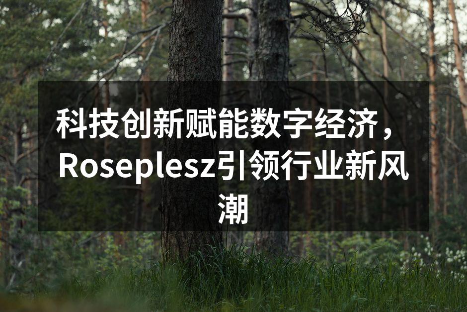 科技创新赋能数字经济，Roseplesz引领行业新风潮